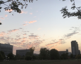 医工所晚霞照