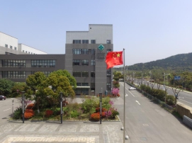 我们是国家队
