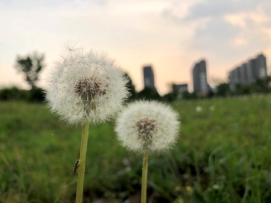 脚踏实地，心系远方