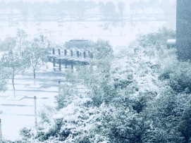 雪后医工所