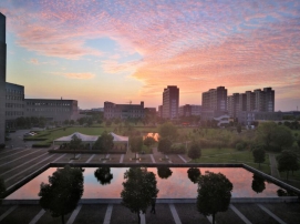 陪你从清晨到黄昏