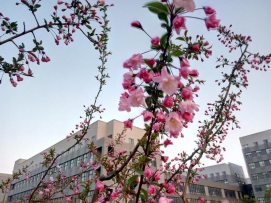 春华秋实